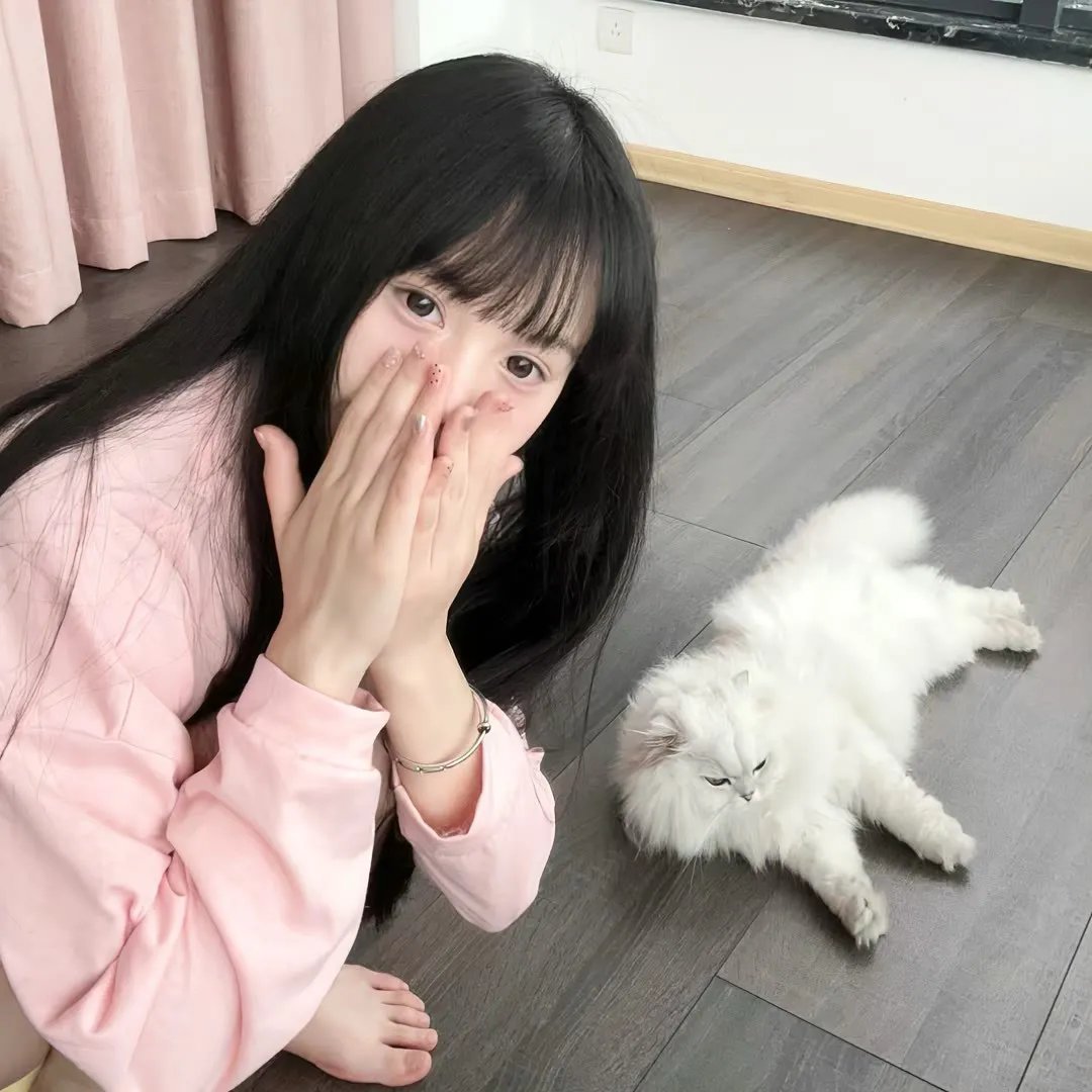 奇迹:追逐彩虹